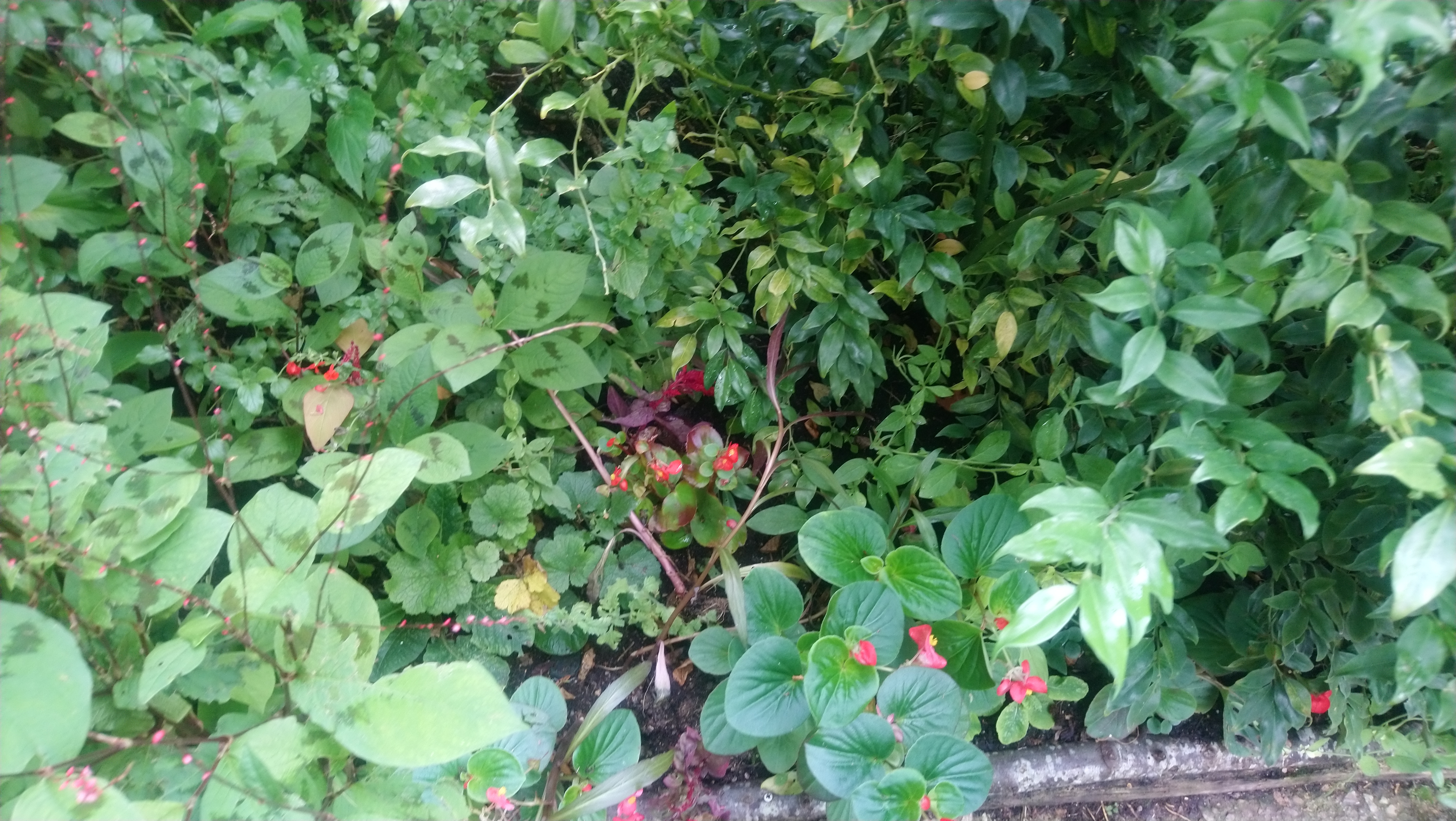 Photo n° 31 de l'avis de Angèle.K fait le 03/08/2020 à 11:24