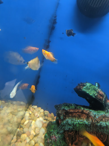 Pet Supply Store «Pet Supplies Plus», reviews and photos, 2812 Reynolda Rd, Winston-Salem, NC 27106, USA