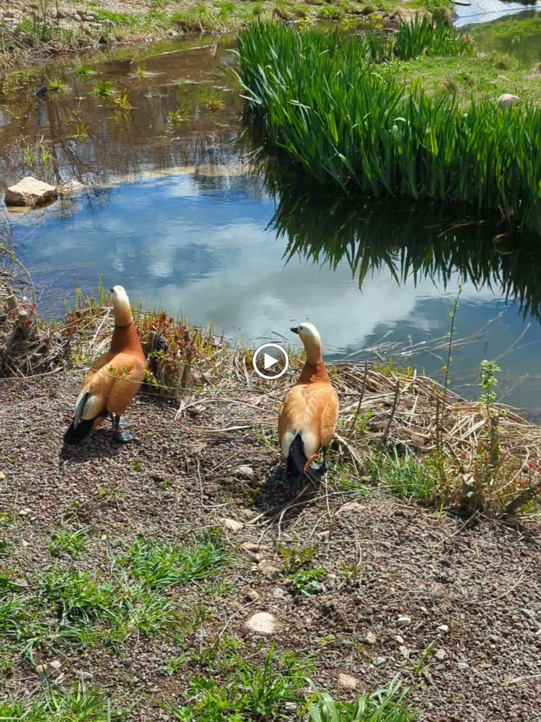 Photo n° 9 de l'avis de Petits.l fait le 07/05/2023 à 00:53