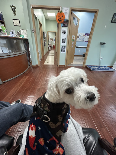 East Windsor Animal Hospital image