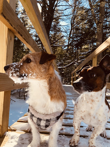 Community Center «Boxford Community Center», reviews and photos, 7 Elm St, Boxford, MA 01921, USA