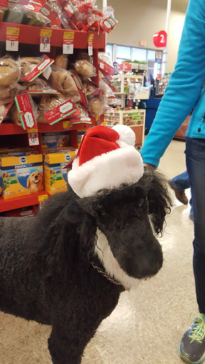 Pet Supply Store «PetSmart», reviews and photos, 2801 Pine Lake Rd, Lincoln, NE 68516, USA