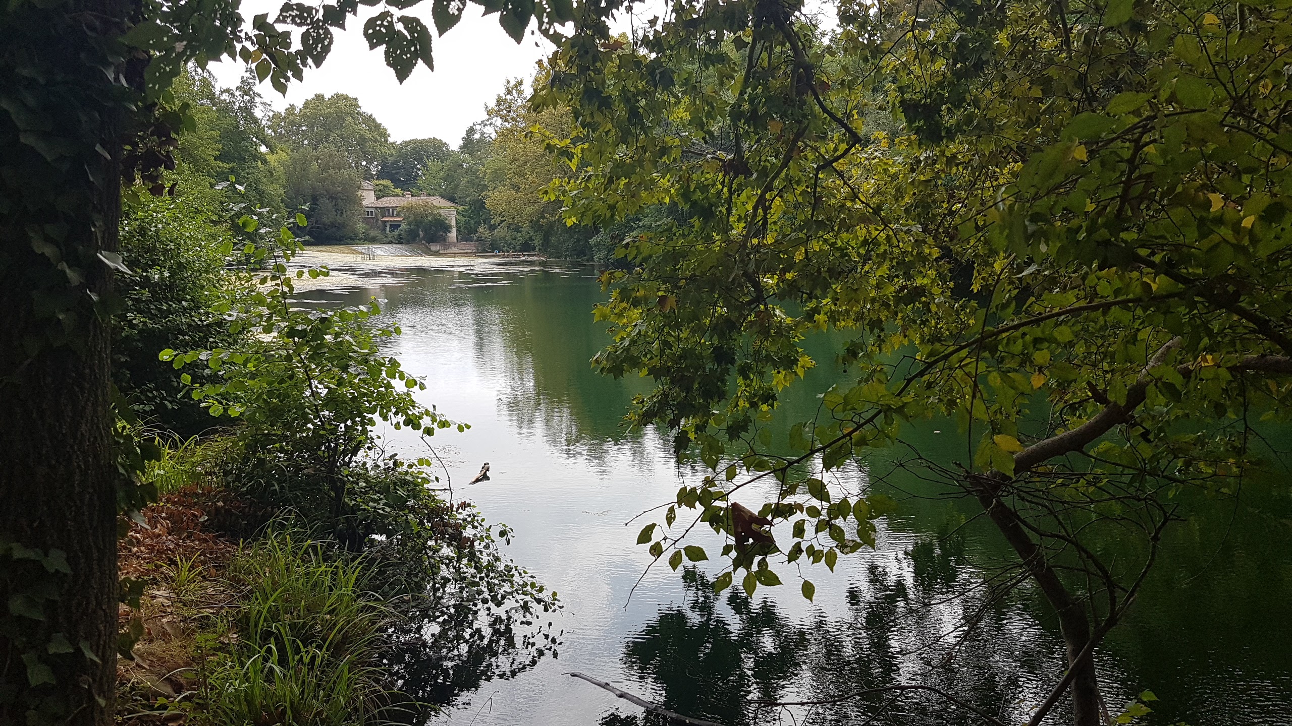 Photo n° 1 de l'avis de PAT.A fait le 31/08/2017 à 12:05