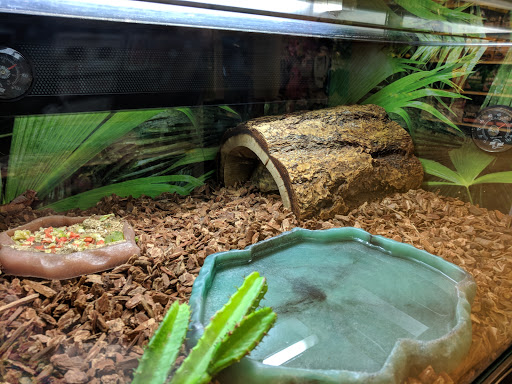 Pet Supply Store «PetSmart», reviews and photos, 5241 Monroe St, Toledo, OH 43623, USA