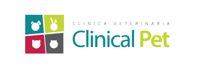 Clinical Pet - Veterinario