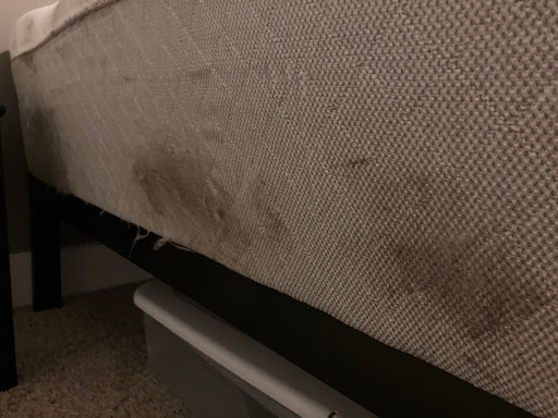 Moving and Storage Service «All My Sons Moving & Storage», reviews and photos, 4518 N Henry Blvd, Stockbridge, GA 30281, USA