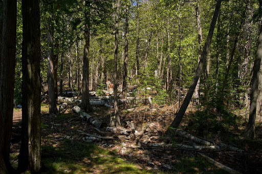 Nature Preserve «Teichner Preserve: The Leelanau Conservancy», reviews and photos, 5234 S Lime Lake Rd, Cedar, MI 49621, USA