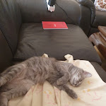 Photo n° 1 de l'avis de Kamel.A fait le 07/11/2023 à 20:53 pour LWS à Golbey