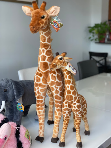 Toy Store «Toy World Incorporated», reviews and photos, 7455 NW 41st St, Miami, FL 33166, USA