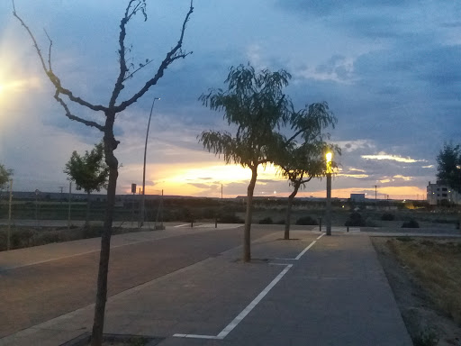 Colegio Públic Parc del Saladar, Institución educativa pública en Alcarràs,Lleida