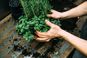 der blumenladen