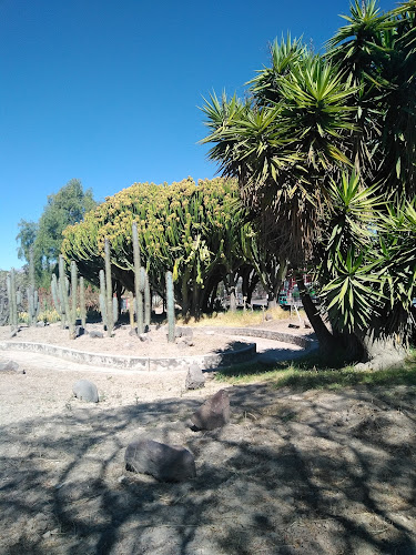 Jardín botánico de Ayacucho - Museo