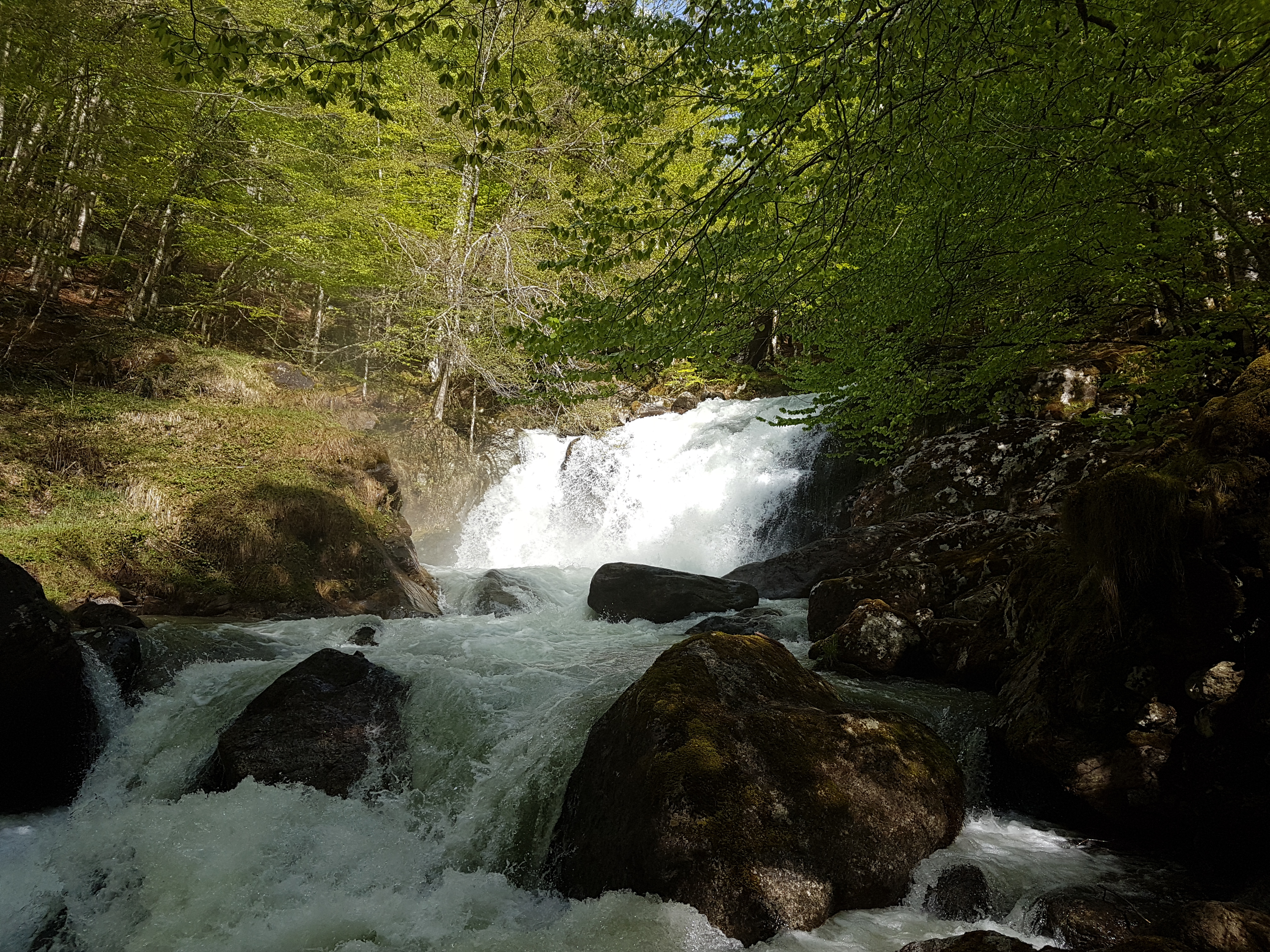 Photo n° 11 de l'avis de Nicole.i fait le 11/05/2018 à 06:42