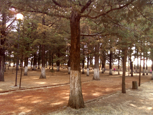 Parque Fidel Negrete