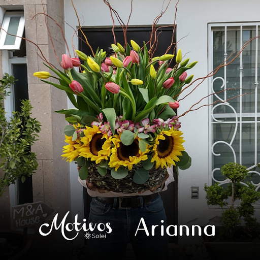 Floreria Motivos – Marfil