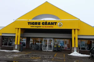 Tigre Géant image