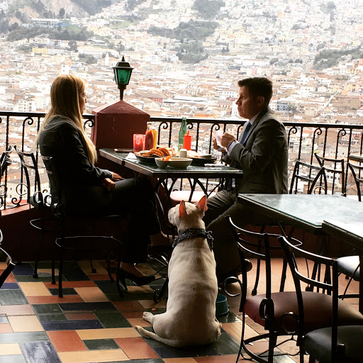 Dog friendly bars in Quito