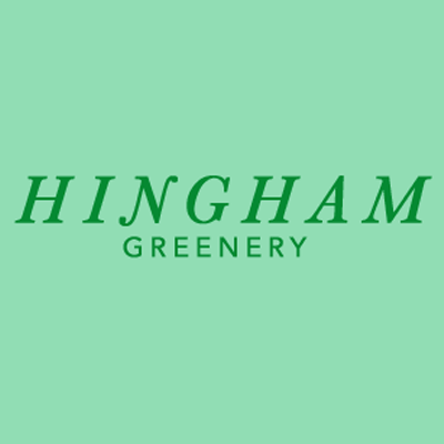 Florist «Hingham Greenery», reviews and photos, 39 South St, Hingham, MA 02043, USA