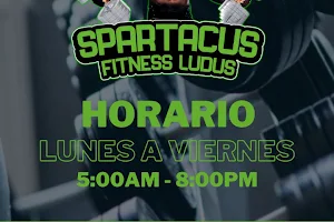 Spartacus Fitness Ludus image