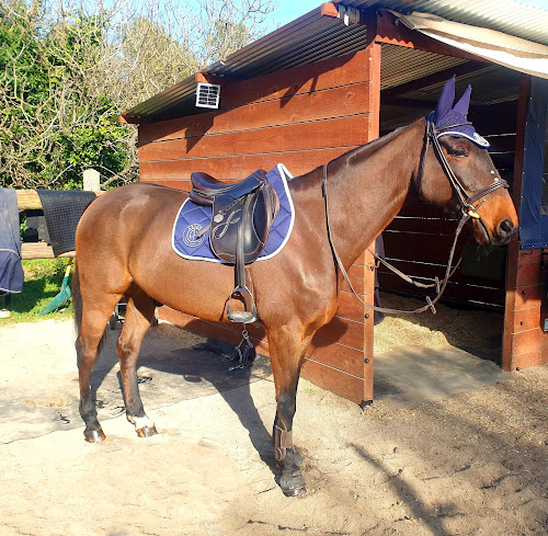 Centre équestre Centre Equestre de Mougins Mougins