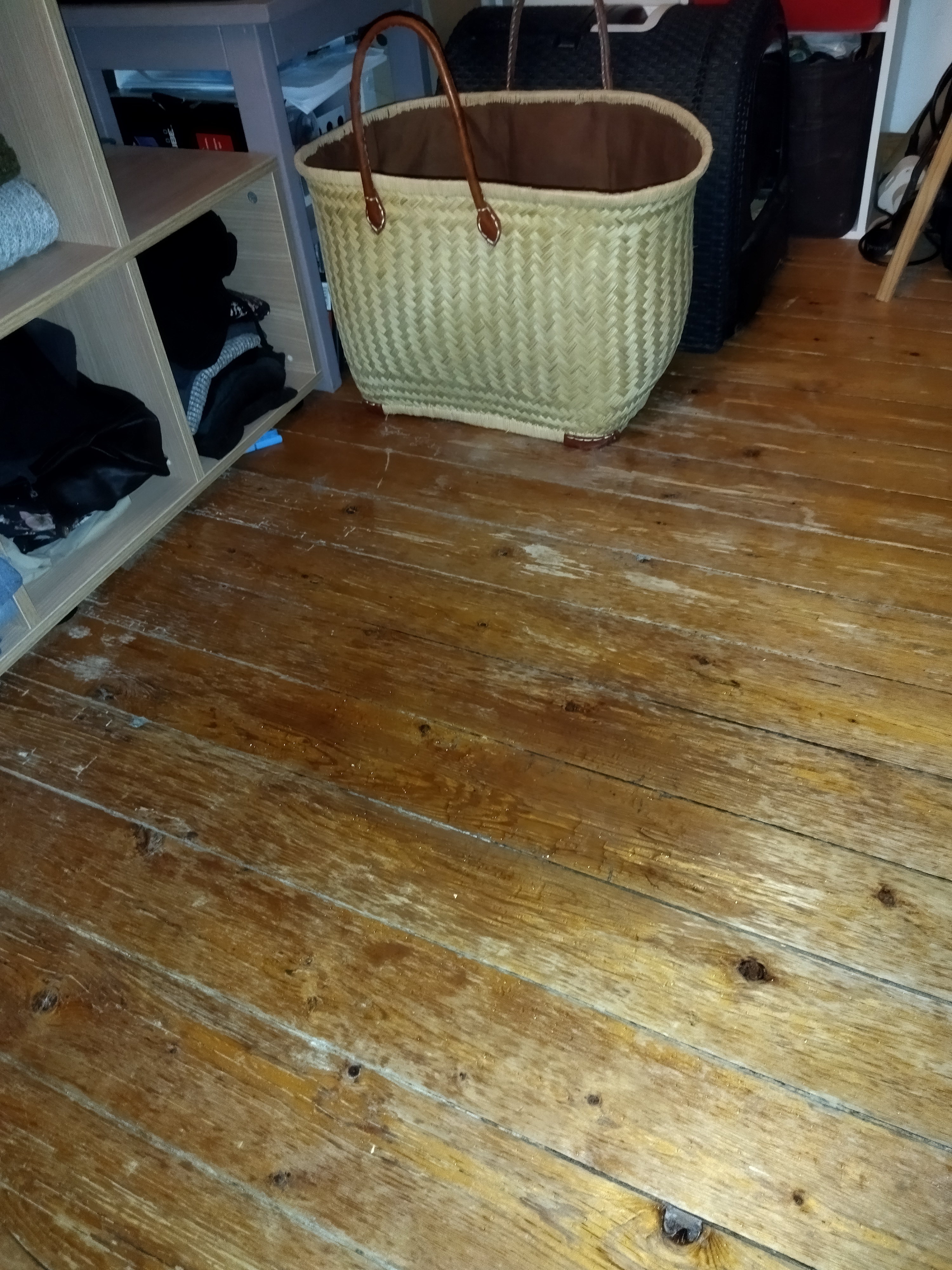 Photo n° 4 de l'avis de timanou76. fait le 01/11/2022 à 19:15