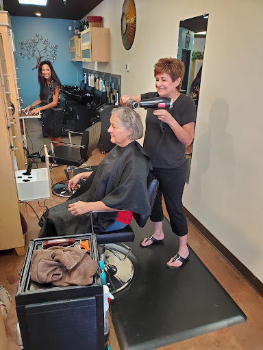 Beauty Salon «Simply Ravishing - The Salon», reviews and photos, 2401 E Baseline Rd, Gilbert, AZ 85234, USA