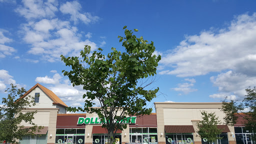 Dollar Store «Dollar Tree», reviews and photos, 9809 Main St #100, Damascus, MD 20872, USA