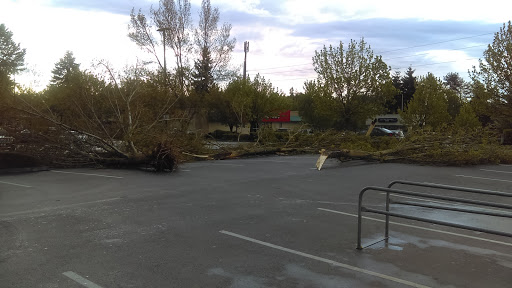 Grocery Store «Quality Food Center», reviews and photos, 4775 Whitman Ln SE, Lacey, WA 98513, USA