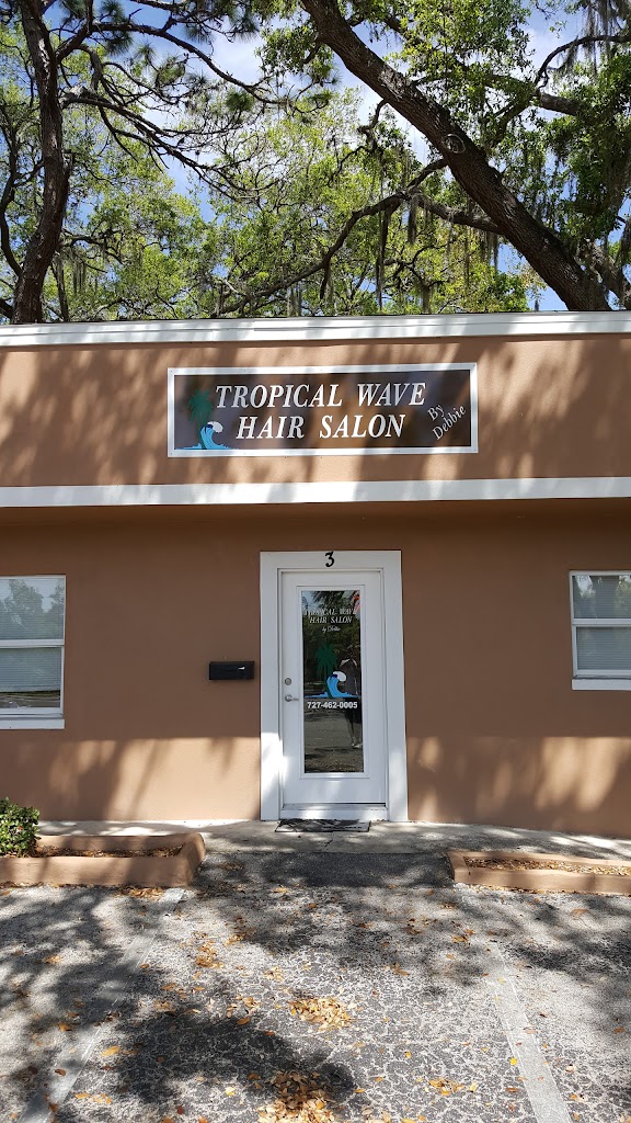 Tropical Wave 33770