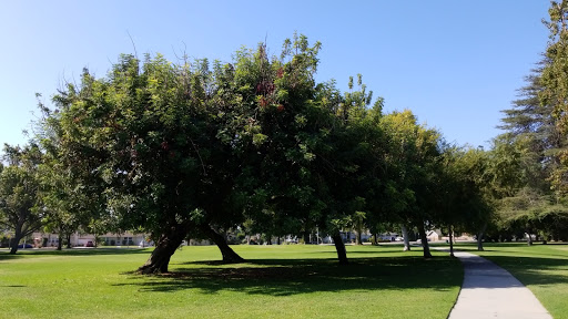 Park «Wardlow Park», reviews and photos, 3457 Stanbridge Ave, Long Beach, CA 90808, USA