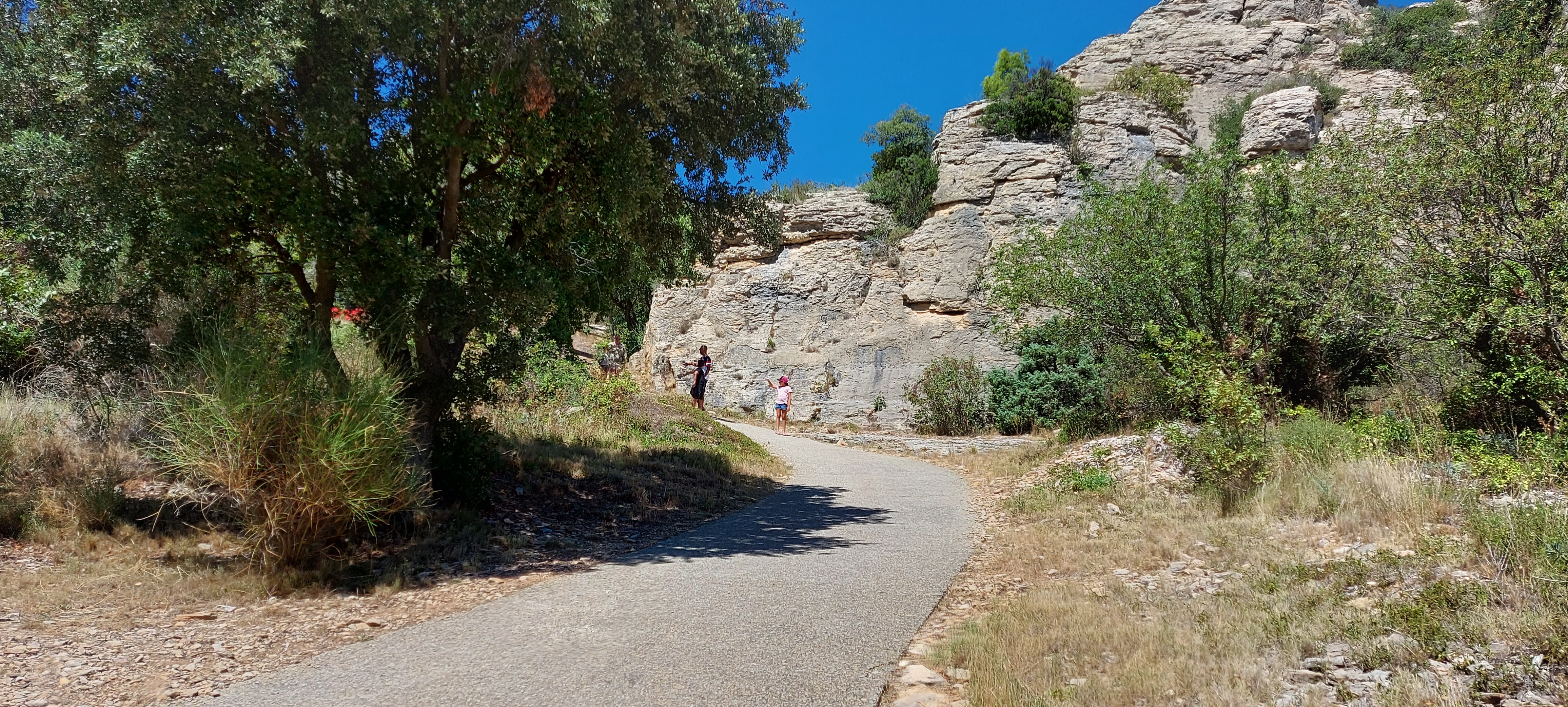 Photo n° 7 de l'avis de didier,.e fait le 24/08/2020 à 12:24