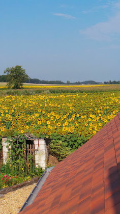 Photos des visiteurs Holiday home La Croix -3 bed gite for rent - BOOK DIRECT TO AVOID FEES 49390 Noyant-Villages