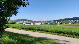 Friedhof Zürich Schwandenholz