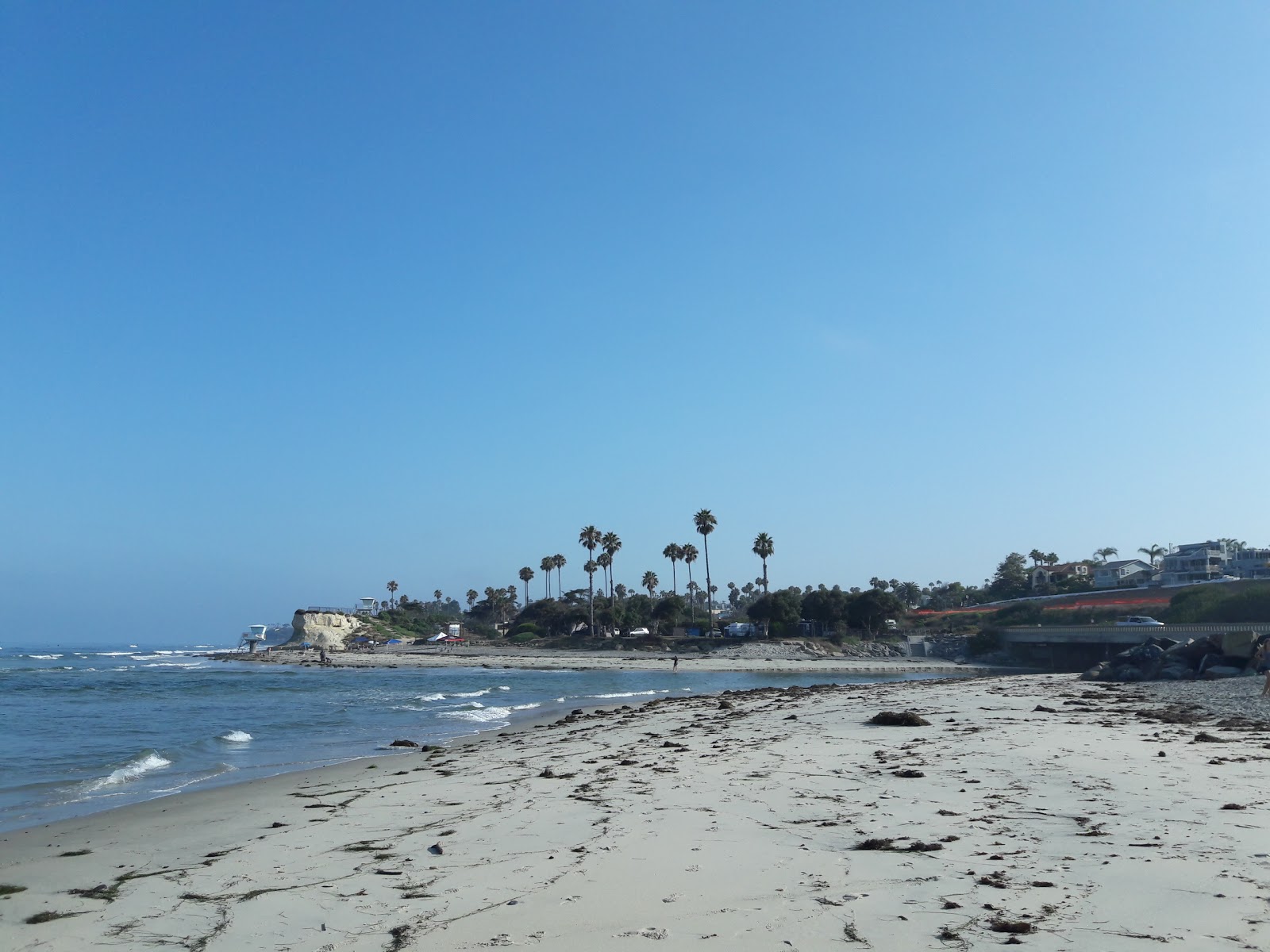 Cardiff beach photo #7