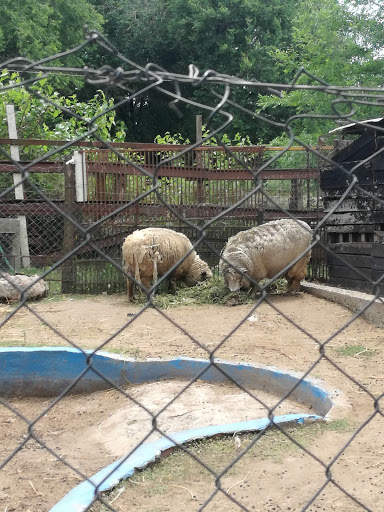 Granja Zoo Yku Huasi