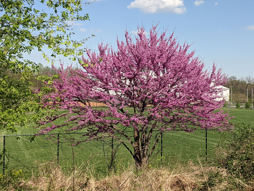 Park «Meadowbrook Park», reviews and photos, 5001 Meadowbrook Ln, Ellicott City, MD 21043, USA