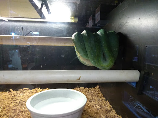 Pet Supply Store «Pet Bazaar», reviews and photos, 490 FL-436, Casselberry, FL 32707, USA