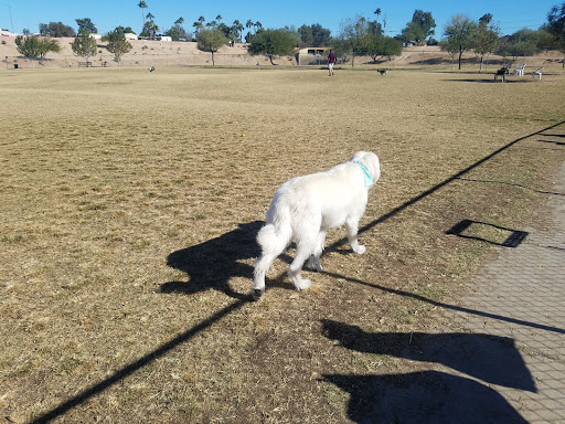 Park «Grover Basin Dog Park», reviews and photos, 17445 N 20th St, Phoenix, AZ 85022, USA