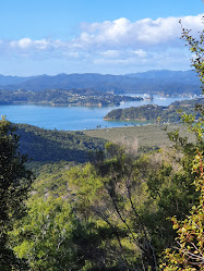 Paihia School Road Track / Opua Forest Lookout