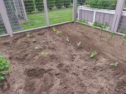 Golf Course «Orchard Hills Golf Course», reviews and photos, 404 Paramus Rd, Paramus, NJ 07652, USA