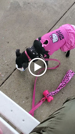 Ice Cream Shop «The Original Kohr Brothers Frozen Custard Since 1919», reviews and photos, 2151 Richmond Rd, Charlottesville, VA 22911, USA