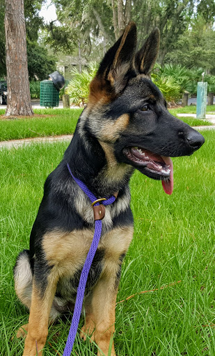 Community Center «University Area Community Center», reviews and photos, 14013 N 22nd St, Tampa, FL 33613, USA