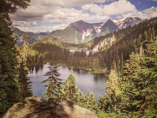 Natural History Museum «Burke Museum of Natural History and Culture», reviews and photos, 1413 NE 45th St, Seattle, WA 98105, USA