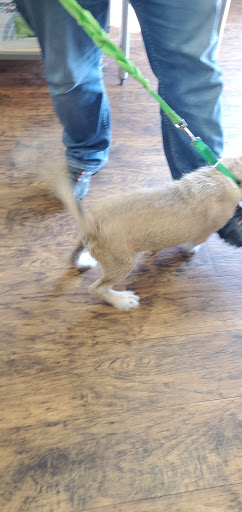 Pet Supply Store «EarthWise Pet Supply», reviews and photos, 7316 Yankee Rd, Liberty Township, OH 45044, USA