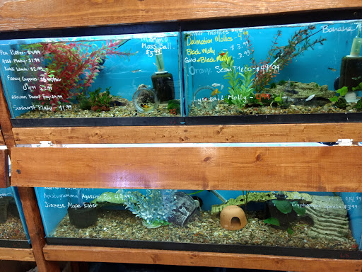 Pet Supply Store «Sunflower Natural Pet Supplies», reviews and photos, 514 Pillsbury Dr, Manhattan, KS 66502, USA