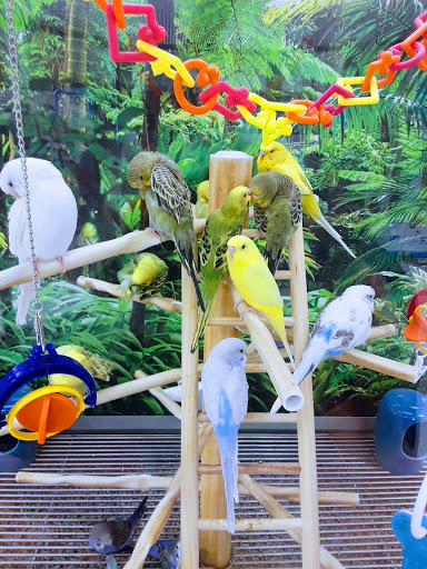 Pet Supply Store «Petco Animal Supplies», reviews and photos, 2617 196th St SW #141, Lynnwood, WA 98036, USA