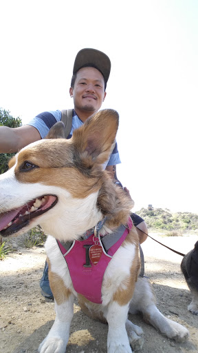 Hacienda Hills Trailhead image