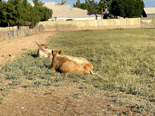 Childrens farm Chandler