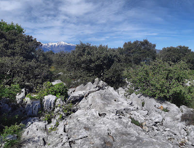 Montner à Calmeilles
