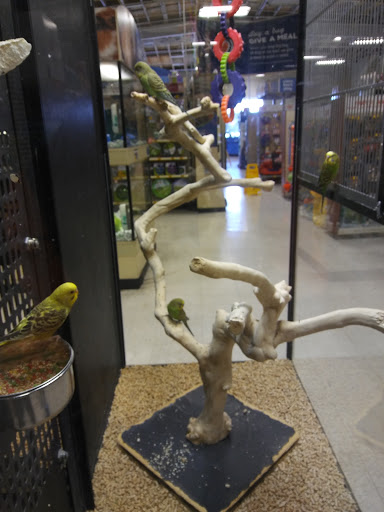 Pet Supply Store «PetSmart», reviews and photos, 3520 S El Camino Real, San Mateo, CA 94403, USA